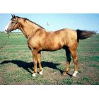 Заводские производи...