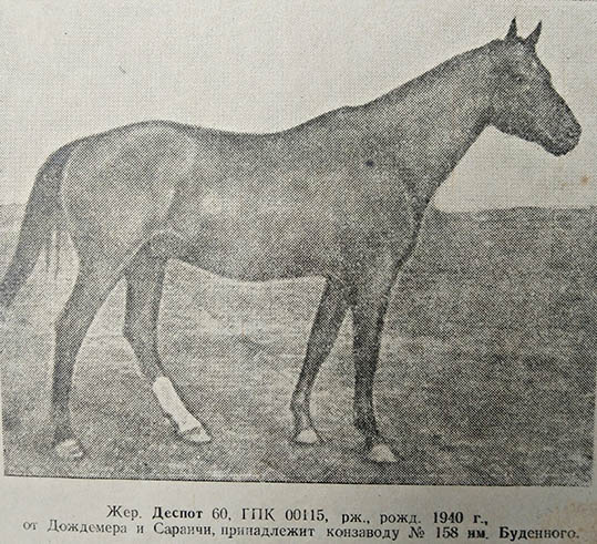 Гос племкнига