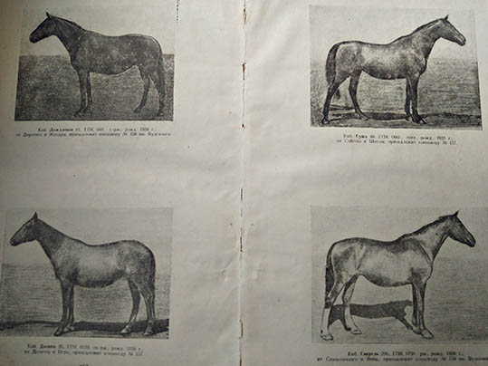 Гос племкнига