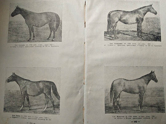 Гос племкнига