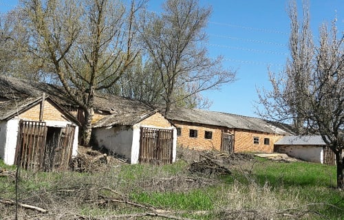 Донецкая госконюшня