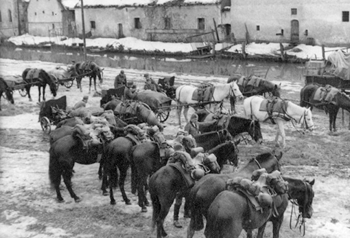 Лошади артиллерийского подразделения.