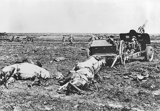 Убитые лошади орудиной упряжки советской 76-мм дивизионной пушки образца 1939 года (УСВ) в поле под Керчью.