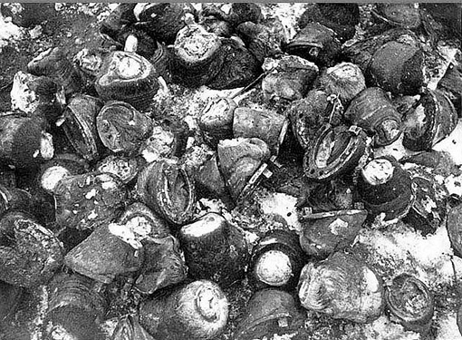 Окруженные немцы поели лошадей Гора копыт лошадей, съеденных окруженными в Сталинграде немцами (После окружения под Сталинградом немецкой 6-й армии и перекрытия путей ее снабжения продовольствием, в немецких войсках начался голод.)