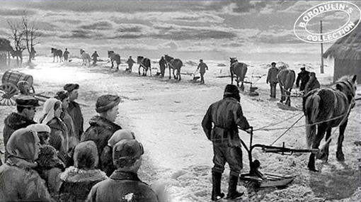 С помощью лошадей расчищали дорогу, по которой шли машины с хлебом