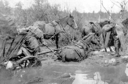 Причина такого широкого использования лошадей весьма проста &mdash; по бездорожью (особенно весной и осенью), там, где застревали любые автомобили, могли пройти только эти выносливые животные.