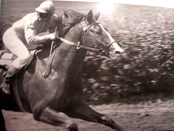 Жокей Сотникова