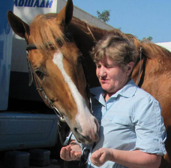 Жокей Сотникова